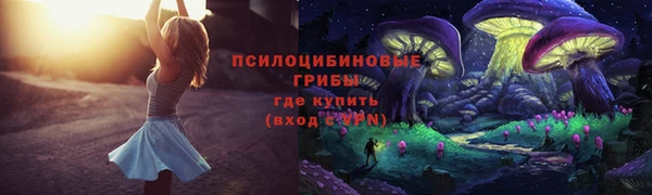 прущие грибы Армянск