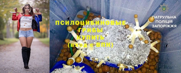прущая мука Арсеньев