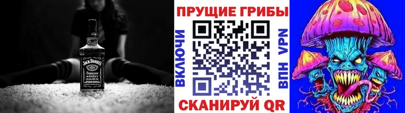 Галлюциногенные грибы прущие грибы  продажа наркотиков  Чадан 